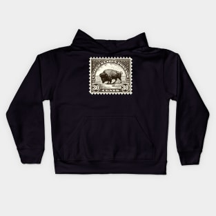 American Buffalo Stamp Kids Hoodie